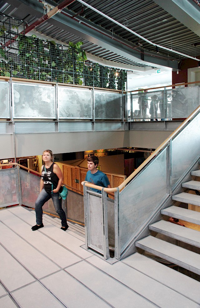 allard architecture • NEMO Restaurant 