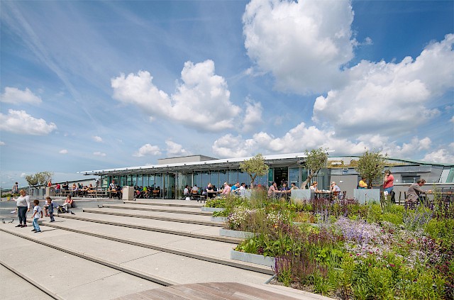 allard architecture • NEMO Restaurant 