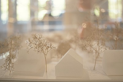 allard architecture • 