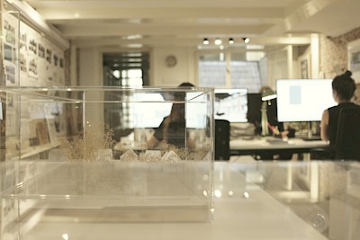 allard architecture • 