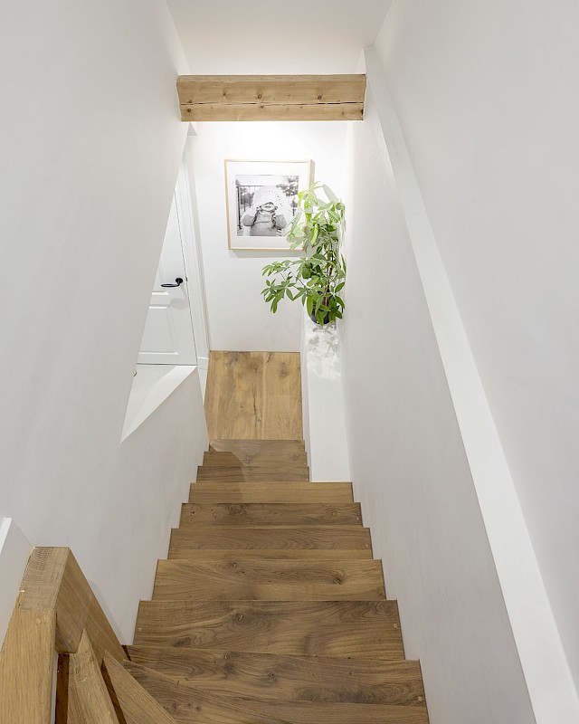 allard architecture • Linnaeusparkweg 